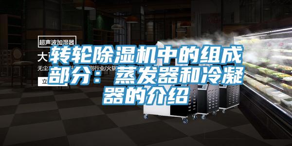 轉輪草莓小视频黄色中的組成部分：蒸發器和冷凝器的介紹