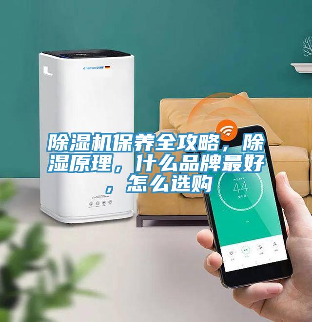 草莓小视频黄色保養全攻略，除濕原理，什麽品牌最好，怎麽選購