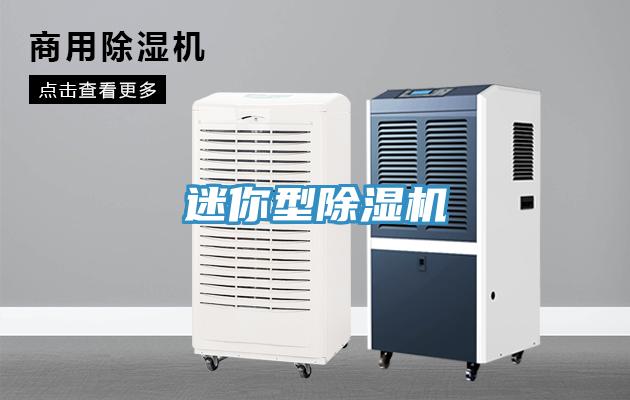 迷你型草莓小视频黄色