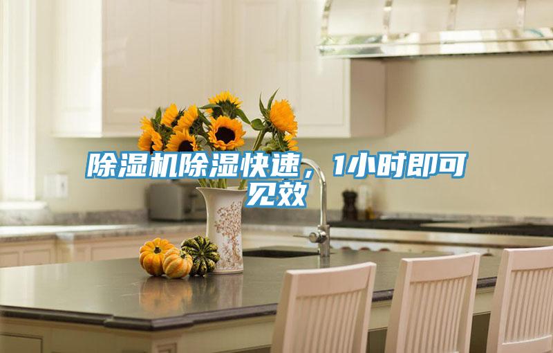 草莓小视频黄色除濕快速，1小時即可見效