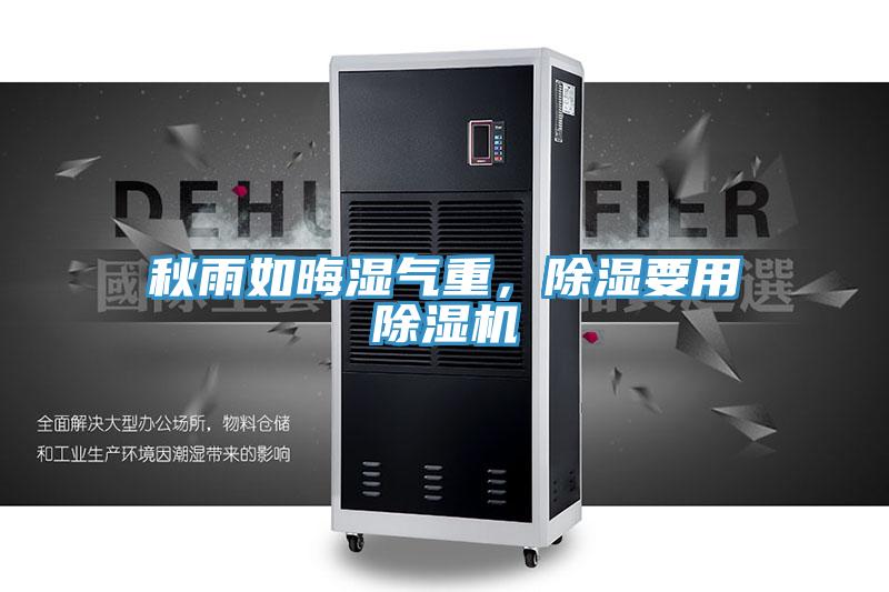 秋雨如晦濕氣重，除濕要用草莓小视频黄色