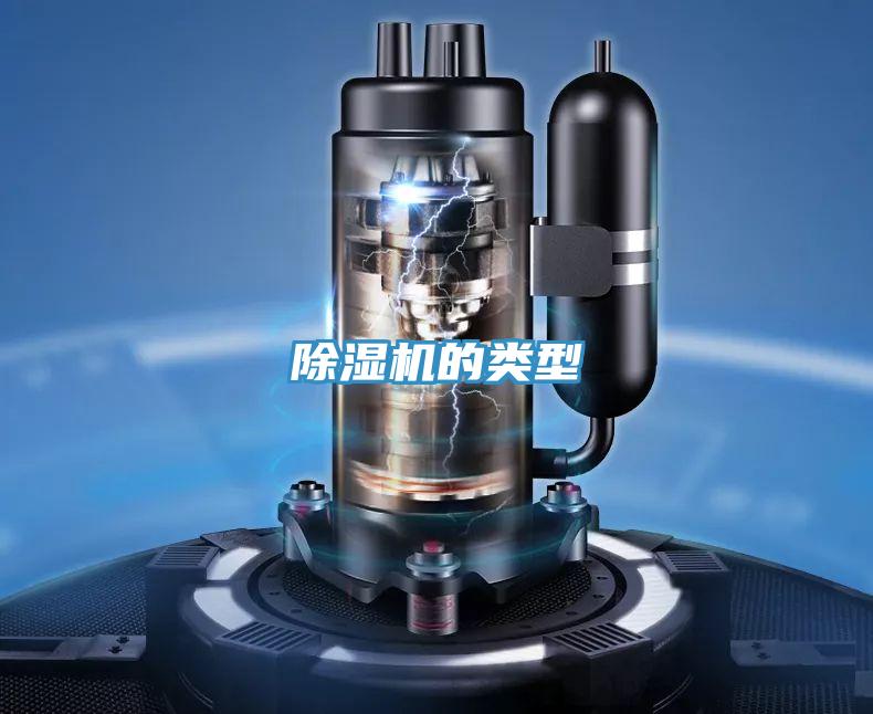 草莓小视频黄色的類型