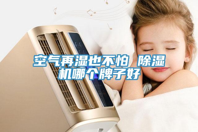 空氣再濕也不怕 草莓小视频黄色哪個牌子好