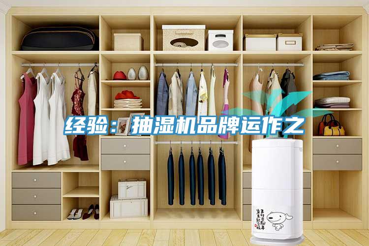 經驗：抽濕機品牌運作之