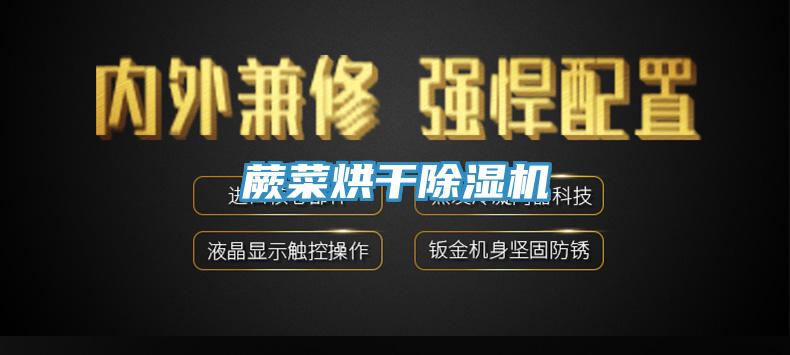 蕨菜烘幹草莓小视频黄色