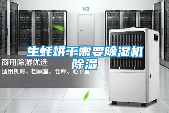 生蠔烘幹需要草莓小视频黄色除濕