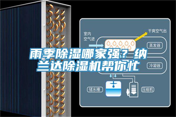 雨季除濕哪家強？納蘭達草莓小视频黄色幫你忙