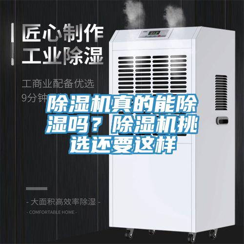 草莓小视频黄色真的能除濕嗎？草莓小视频黄色挑選還要這樣