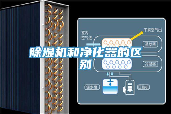 草莓小视频黄色和淨化器的區別