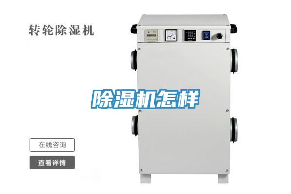 草莓小视频黄色怎樣