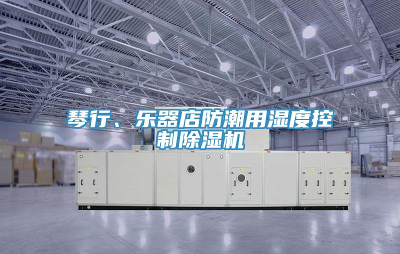 琴行、樂器店防潮用濕度控製草莓小视频黄色