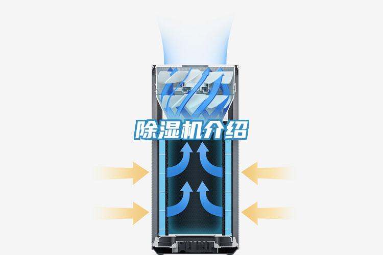 草莓小视频黄色介紹