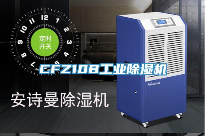 CFZ10B工業草莓小视频黄色