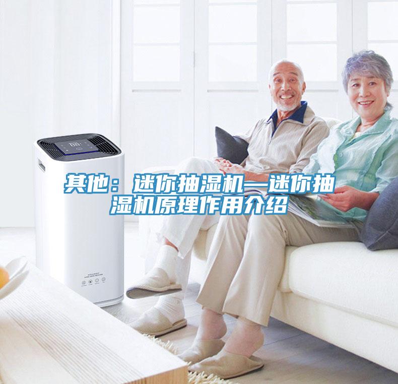 其他：迷你抽濕機—迷你抽濕機原理作用介紹