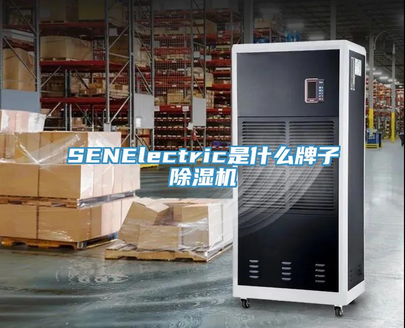 SENElectric是什麽牌子草莓小视频黄色
