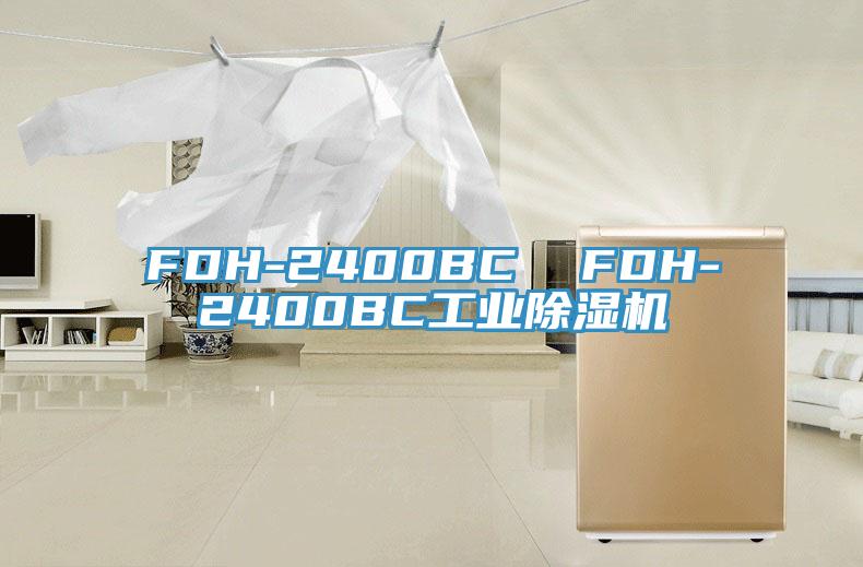 FDH-2400BC  FDH-2400BC工業草莓小视频黄色
