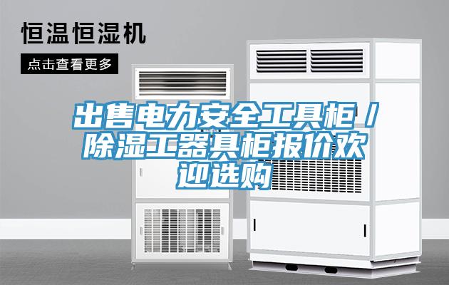 出售電力安全工具櫃／除濕工器具櫃報價歡迎選購