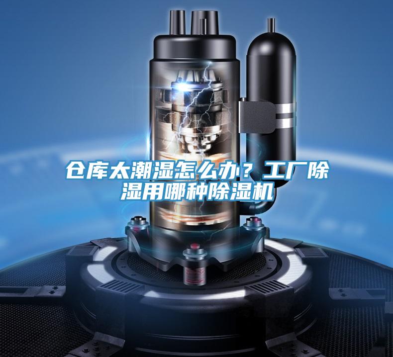 倉庫太潮濕怎麽辦？工廠除濕用哪種草莓小视频黄色