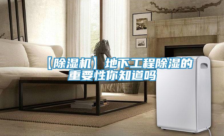 【草莓小视频黄色】地下工程除濕的重要性你知道嗎