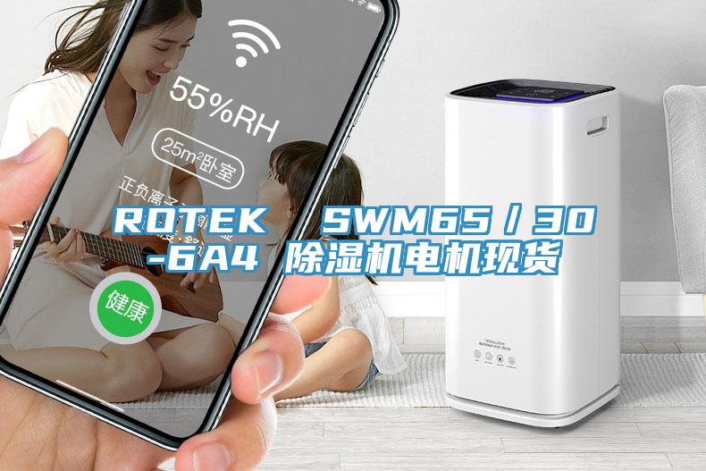 ROTEK  SWM65／30-6A4 草莓小视频黄色電機現貨