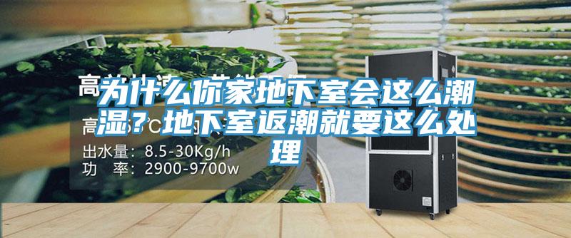 為什麽你家地下室會這麽潮濕？地下室返潮就要這麽處理