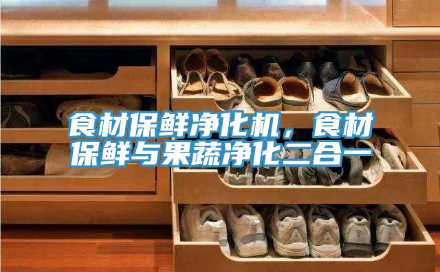 食材保鮮淨化機，食材保鮮與果蔬淨化二合一