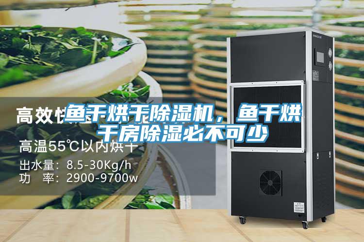 魚幹烘幹草莓小视频黄色，魚幹烘幹房除濕必不可少