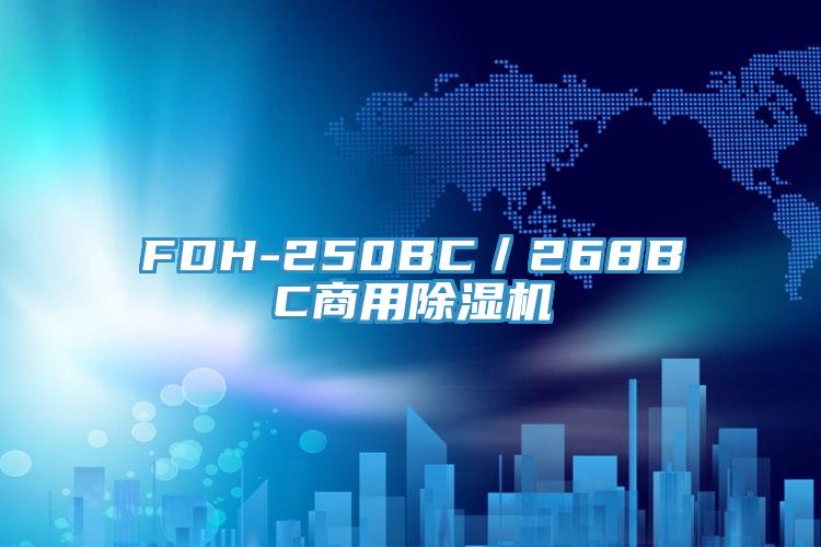 FDH-250BC／268BC商用草莓小视频黄色