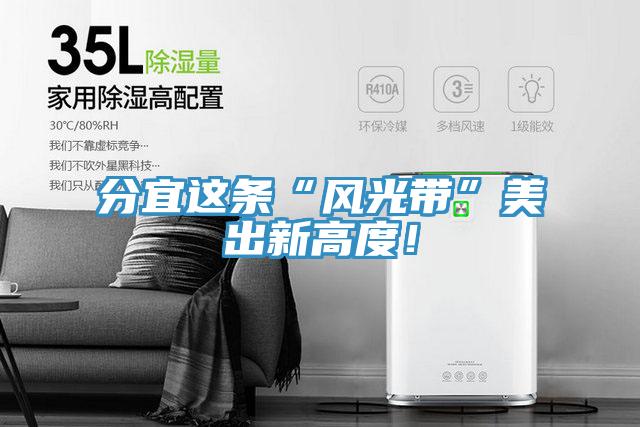 分宜這條“風光帶”美出新高度！