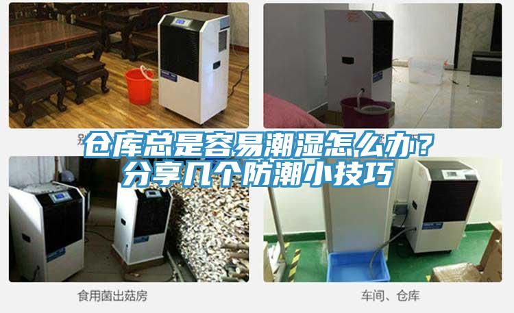 倉庫總是容易潮濕怎麽辦？分享幾個防潮小技巧