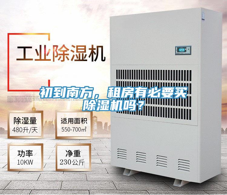 初到南方，租房有必要買草莓小视频黄色嗎？