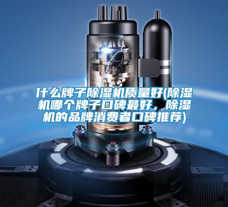 什麽牌子草莓小视频黄色質量好(草莓小视频黄色哪個牌子口碑最好，草莓小视频黄色的品牌消費者口碑推薦)