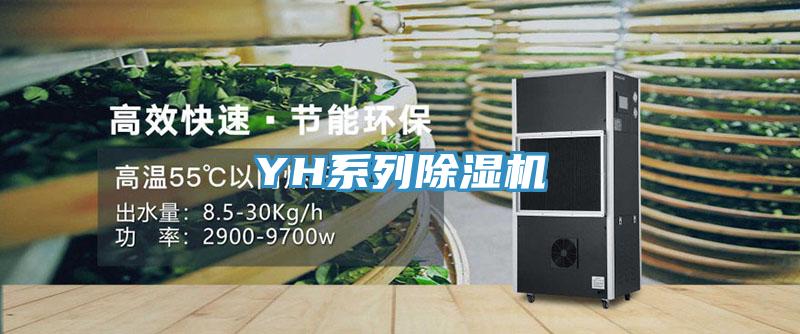 YH係列草莓小视频黄色