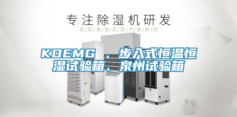 KOEMG 、步入式恒溫恒濕試驗箱、泉州試驗箱