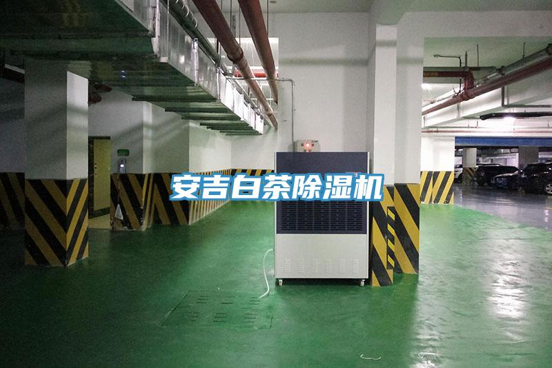 安吉白茶草莓小视频黄色