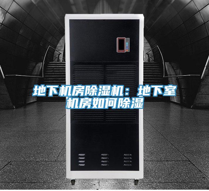 地下機房草莓小视频黄色：地下室機房如何除濕