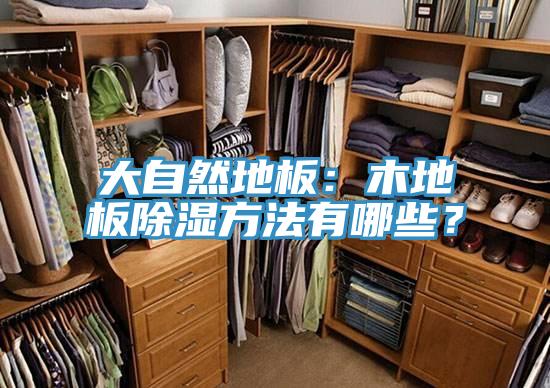 大自然地板：木地板除濕方法有哪些？