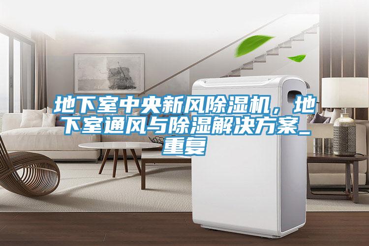 地下室中央新風草莓小视频黄色，地下室通風與除濕解決方案_重複