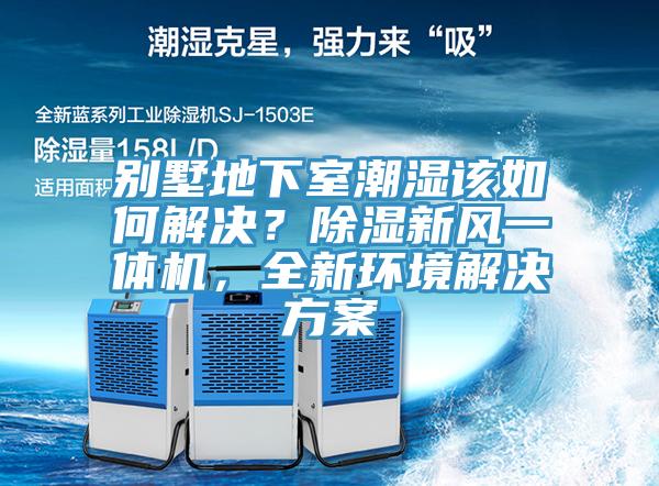別墅地下室潮濕該如何解決？除濕新風一體機，全新環境解決方案