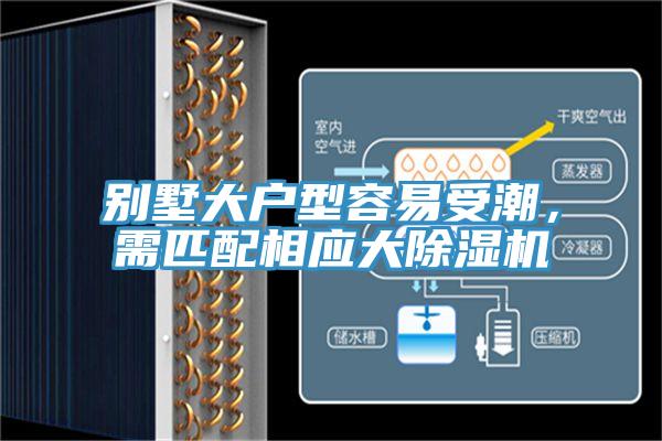 別墅大戶型容易受潮，需匹配相應大草莓小视频黄色