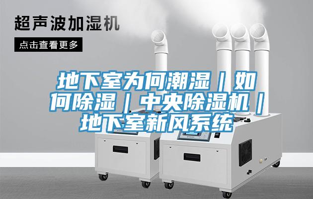 地下室為何潮濕|如何除濕|中央草莓小视频黄色|地下室新風係統