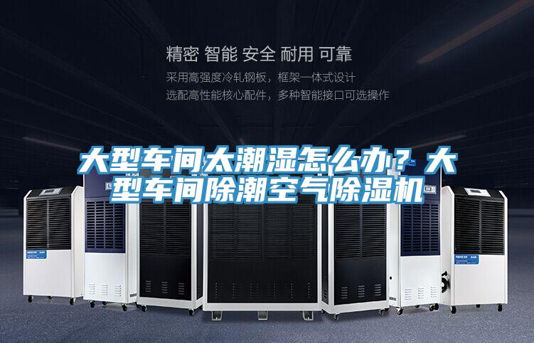 大型車間太潮濕怎麽辦？大型車間除潮空氣草莓小视频黄色