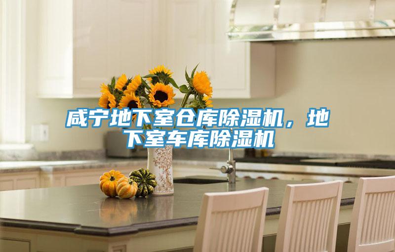 鹹寧地下室倉庫草莓小视频黄色，地下室車庫草莓小视频黄色