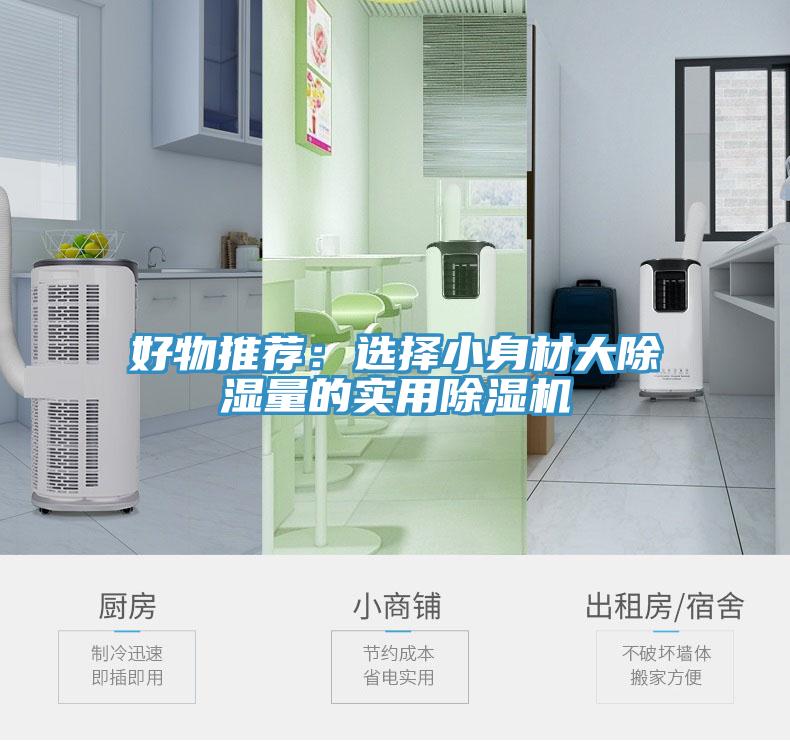 好物推薦：選擇小身材大除濕量的實用草莓小视频黄色