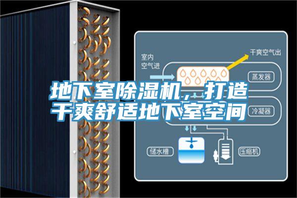 地下室草莓小视频黄色，打造幹爽舒適地下室空間