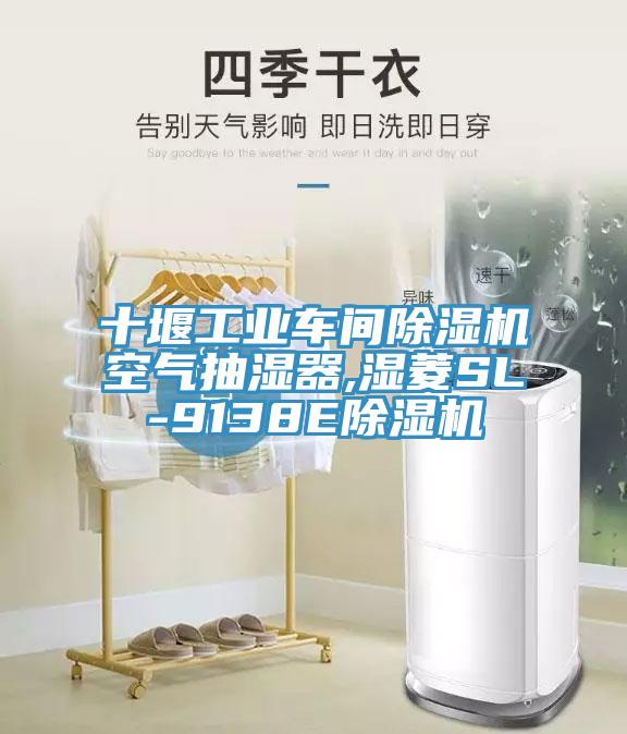 十堰工業車間草莓小视频黄色空氣抽濕器,濕菱SL-9138E草莓小视频黄色