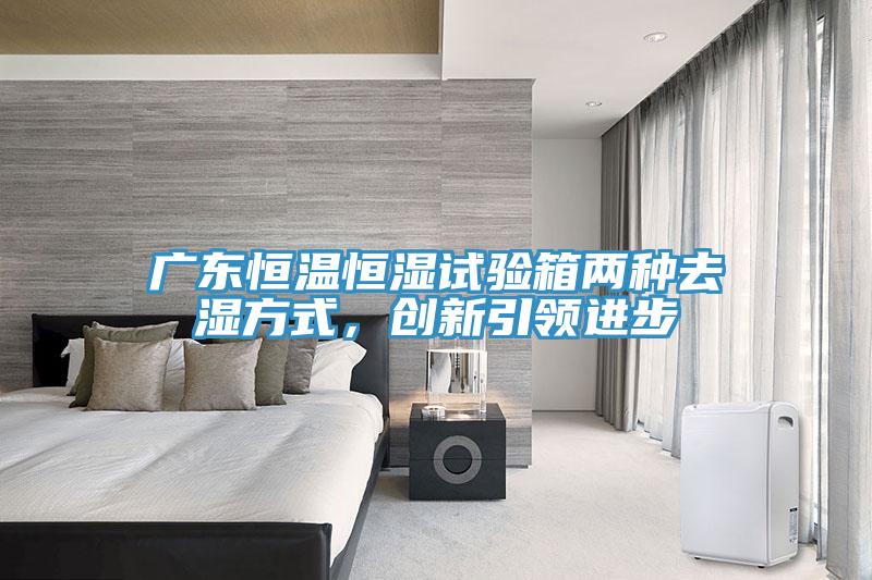 廣東恒溫恒濕試驗箱兩種去濕方式，創新引領進步