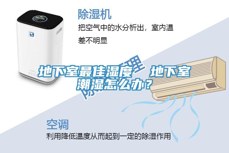 地下室最佳濕度  地下室潮濕怎麽辦？