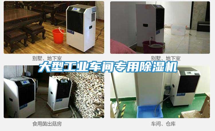 大型工業車間專用草莓小视频黄色