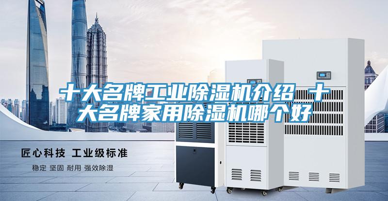 十大名牌工業草莓小视频黄色介紹 十大名牌家用草莓小视频黄色哪個好